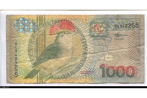 79898 - 1000 Gulden Royal Flycatcher