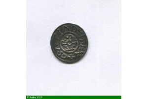 84624 - Denier Curtisasonien