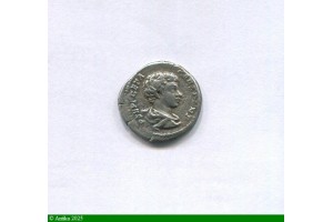 85050 - DENIER ROME 200-202  R/ SECVRIT IMPERII 3,11 gr