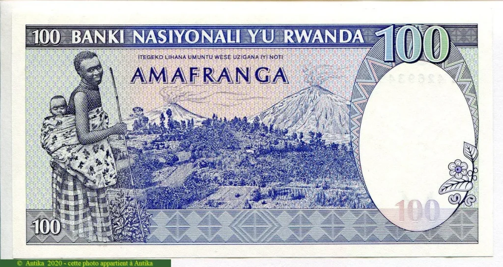 100 Francs Troupeau Zèbres