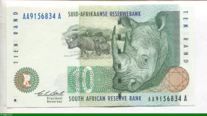 10 Rand Rhinocéros