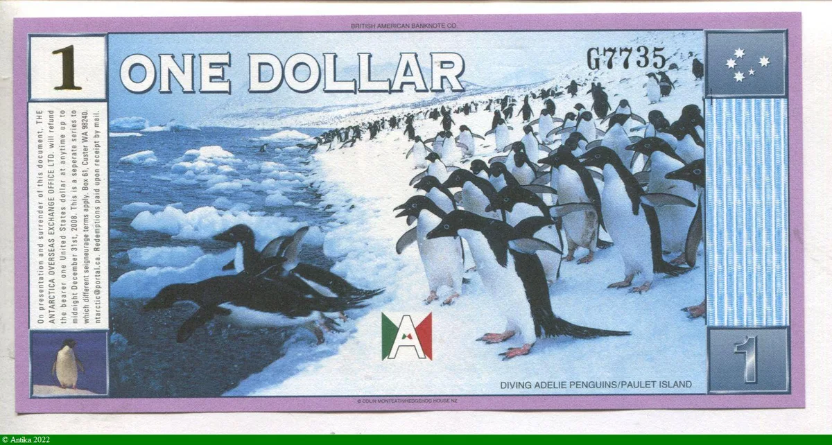 1 Dollar Manchots & Glaciers