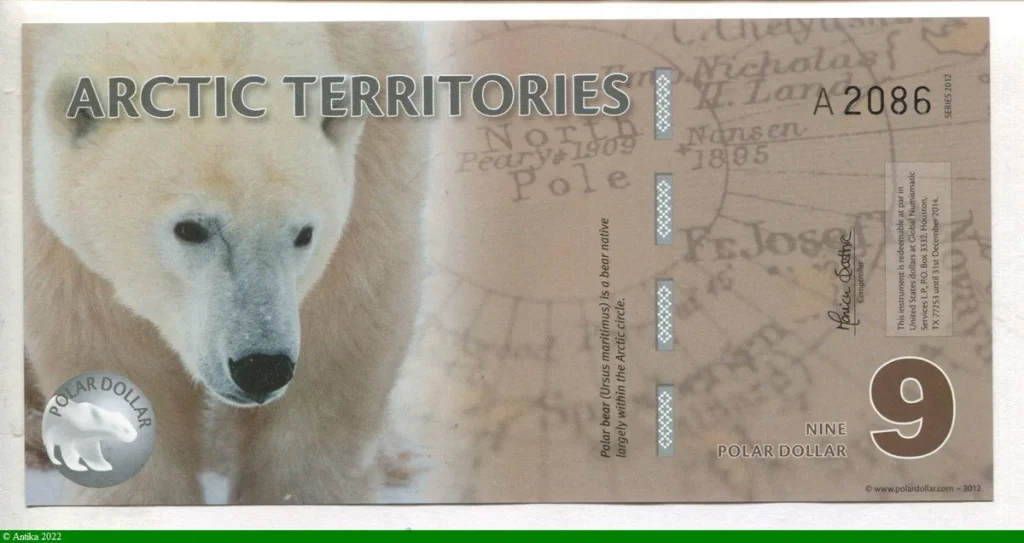 9 Polar Dollar Ours Polaire & Explorateur