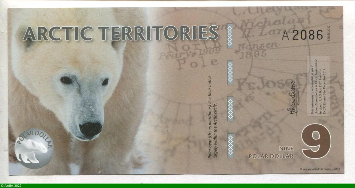 9 Polar Dollar Ours Polaire & Explorateur