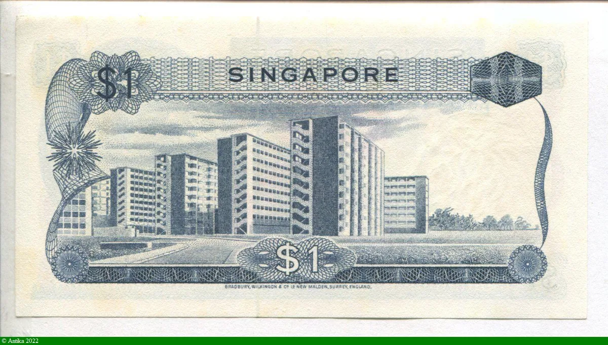 1 Dollar Orchidée
