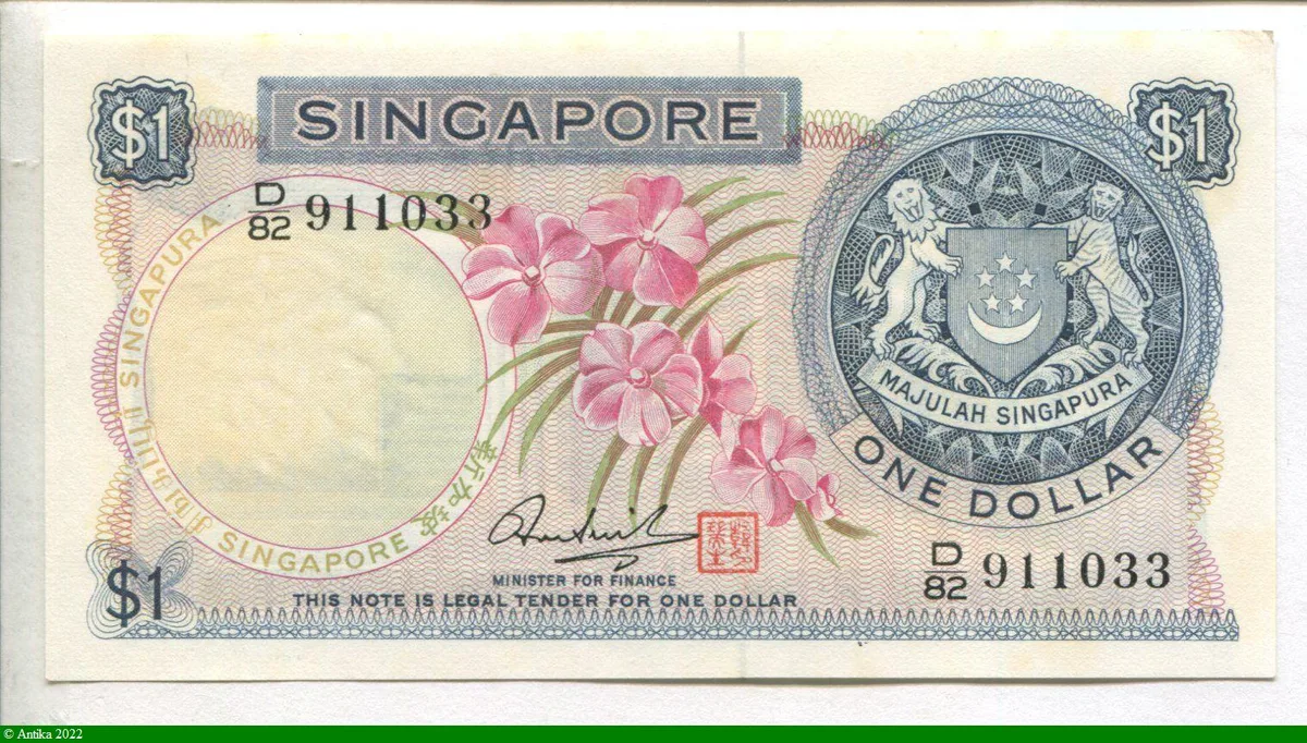 1 Dollar Orchidée
