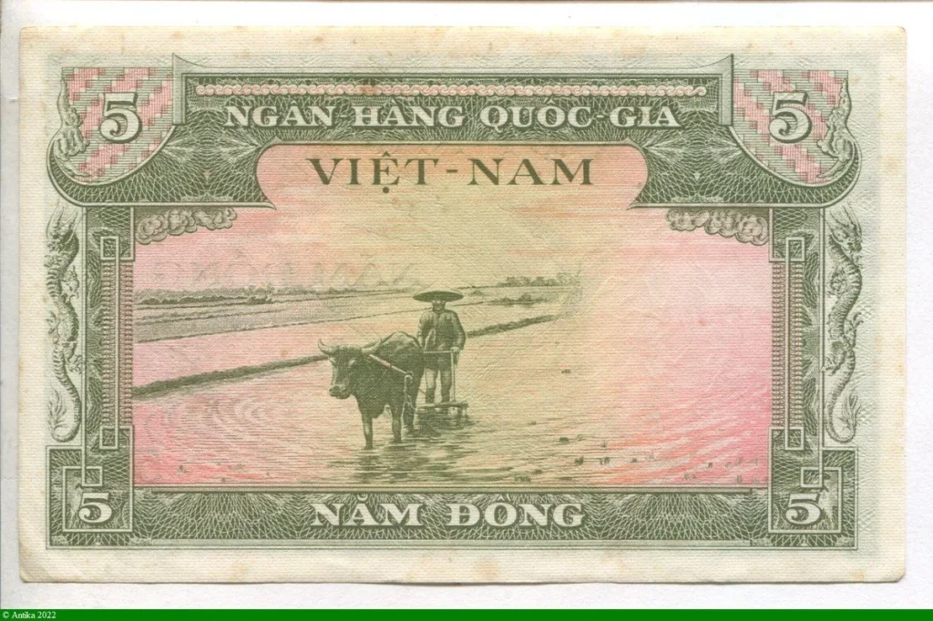 5 Dong Rizière