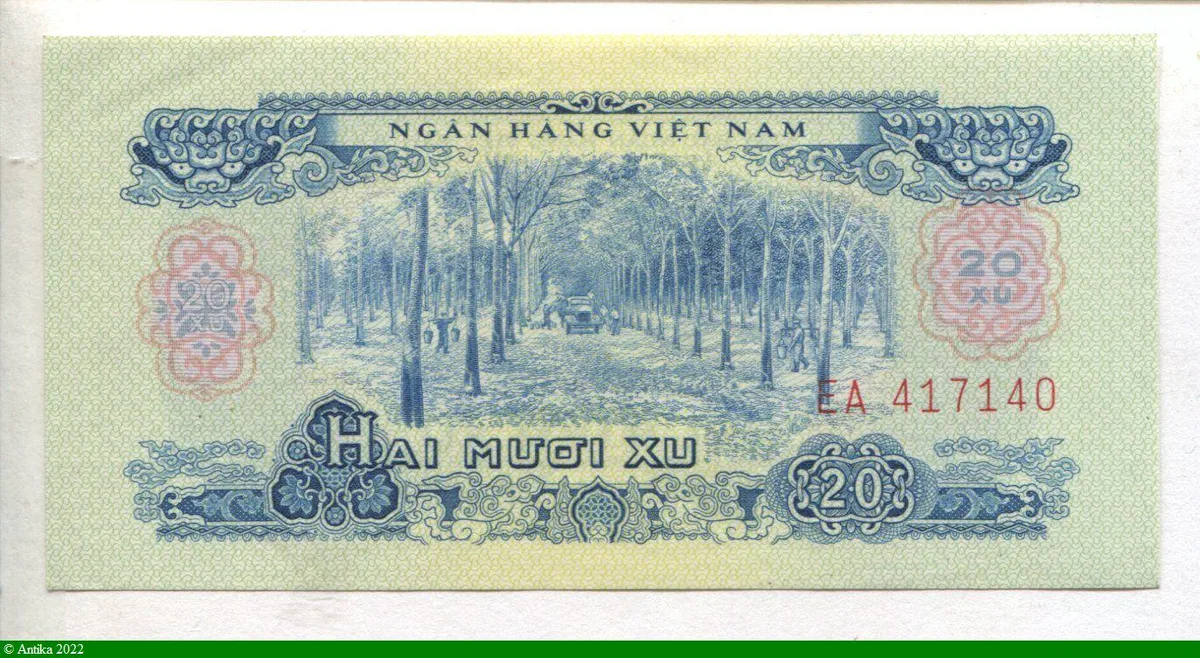 20 Xu Palmiers & Bœufs