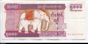 5000 Kyats Eléphant