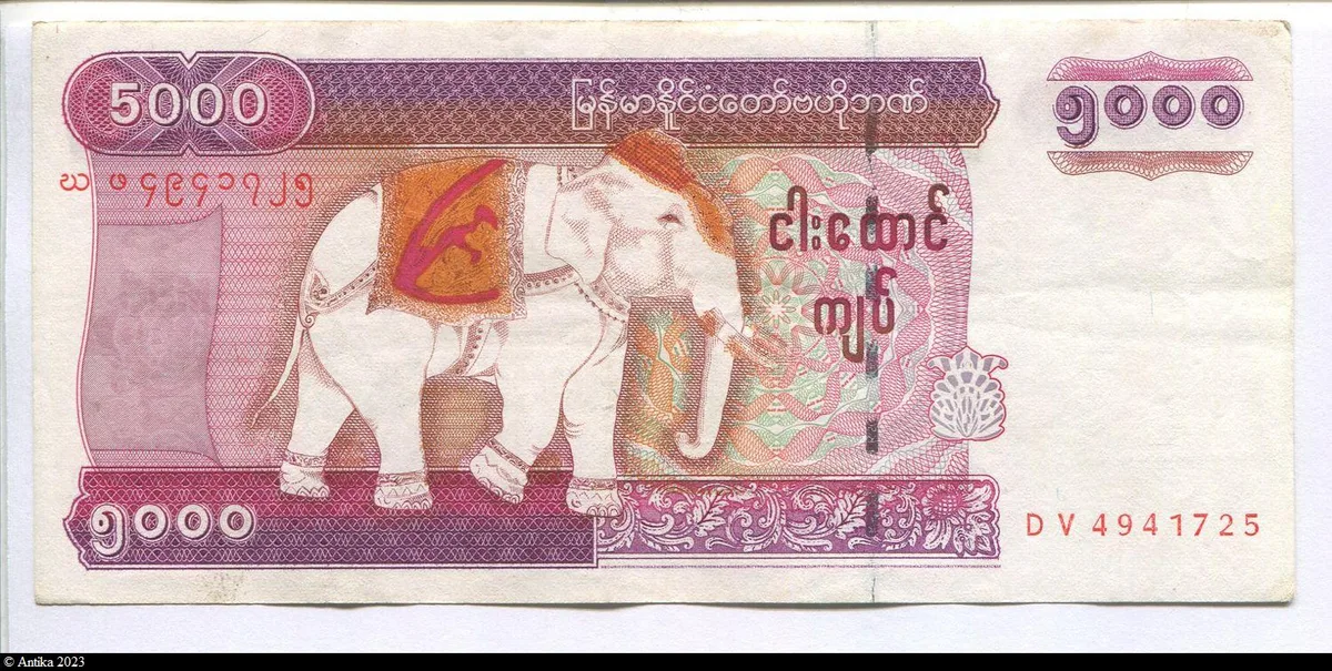 5000 Kyats Eléphant