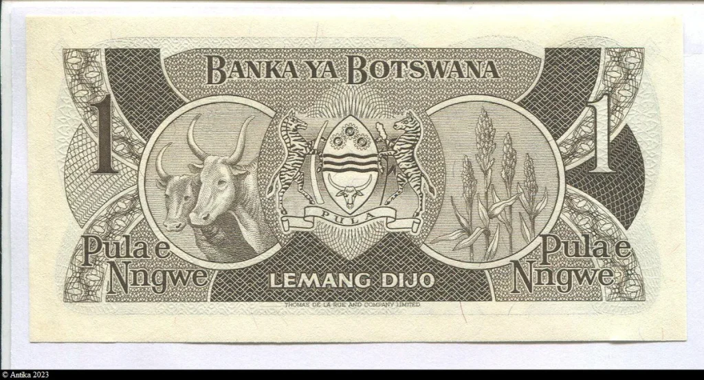 1 Pula Lemang Dijo & Vache zèbre