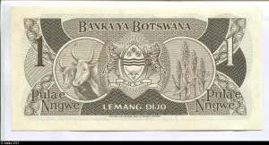 1 Pula Lemang Dijo & Vache zèbre