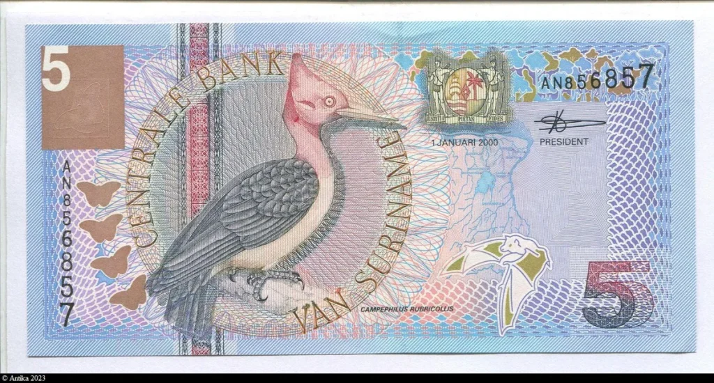 5 Gulden Oiseau Woodpecker * *