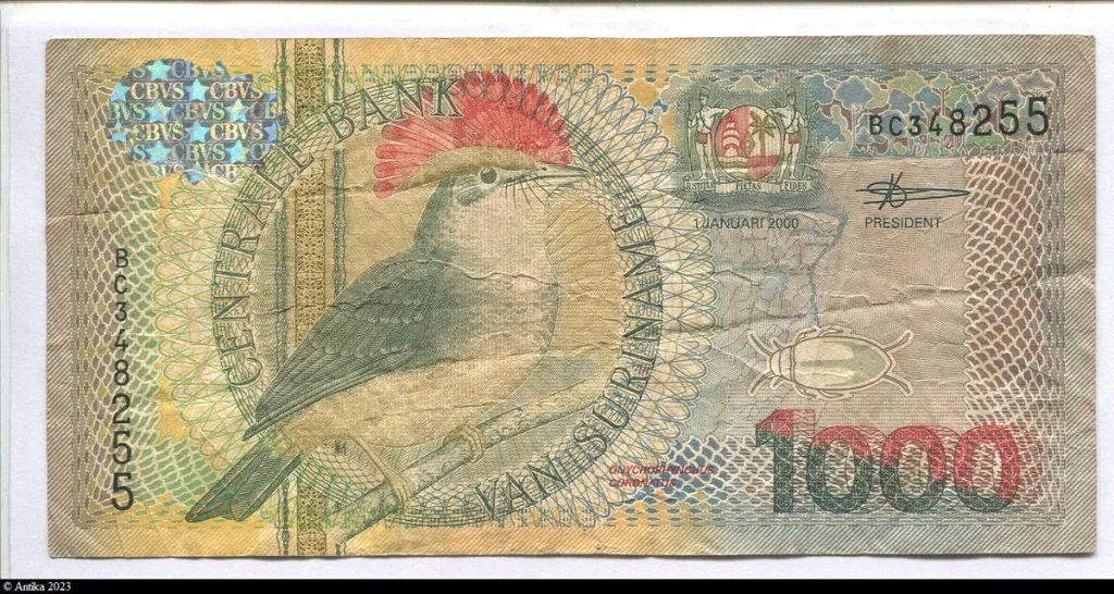 1000 Gulden Royal Flycatcher