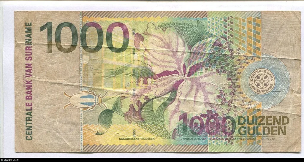 1000 Gulden Royal Flycatcher