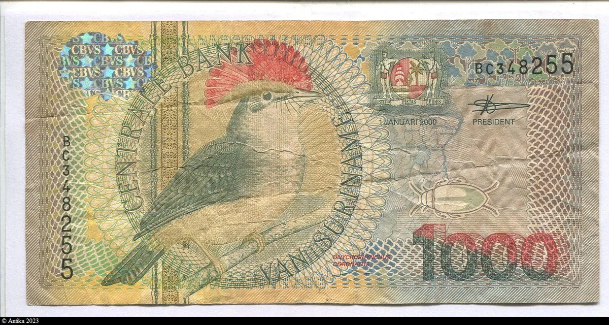 1000 Gulden Royal Flycatcher