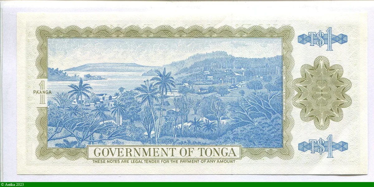 1 Pa ' Anga Roi Taufa'ahau & Village & Palmiers