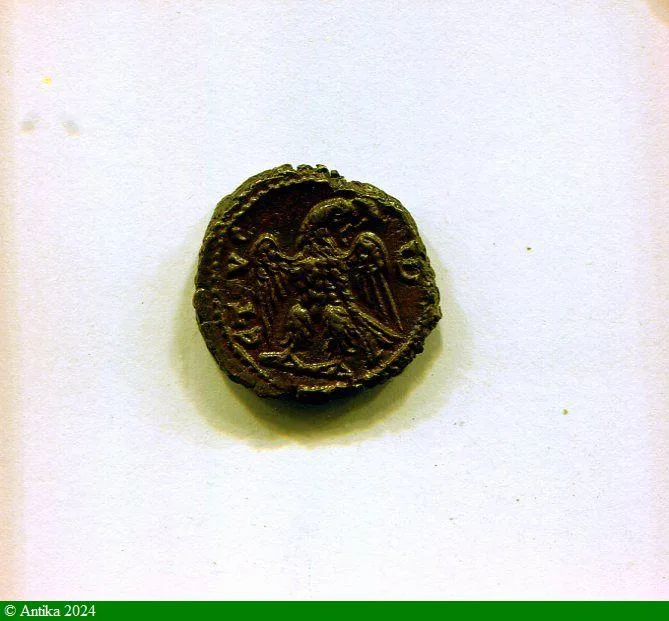TETRADRACHME Bronze ALEXANDRIE R/ AIGLE 7,21 gr