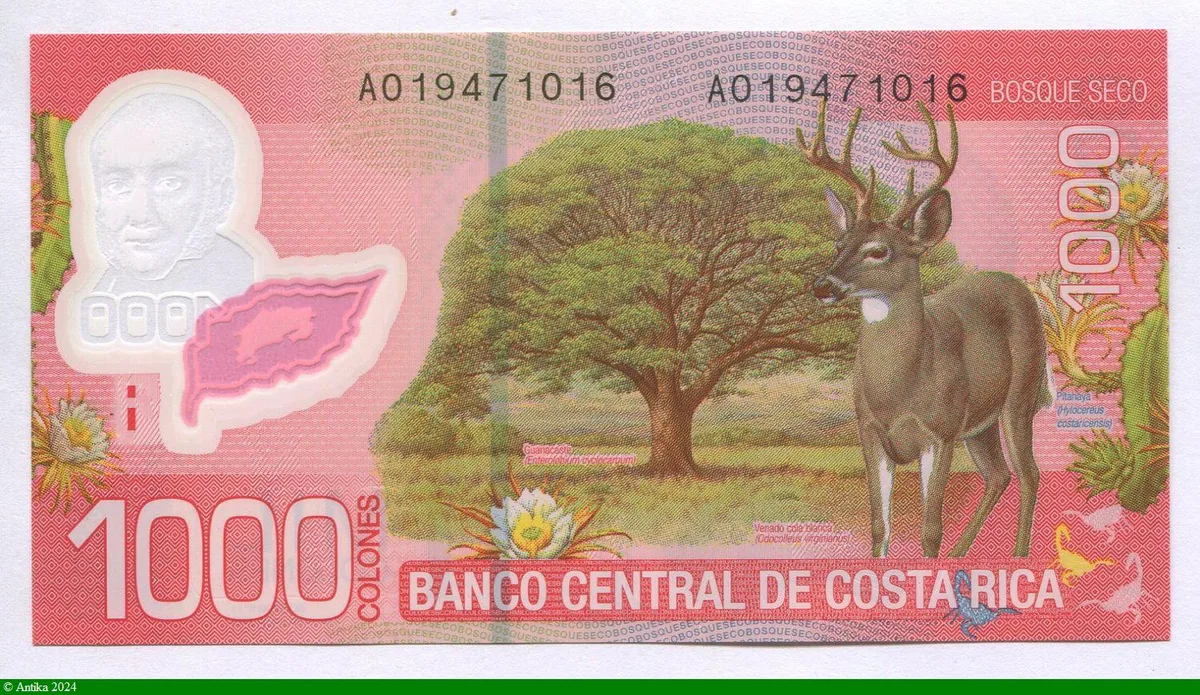 1000 Colones.C. Colina & Cerf Polymère * *