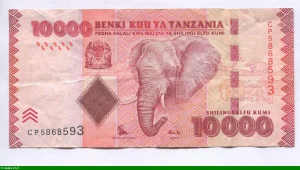 10000 Shilings Eléphant