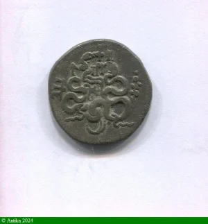 CISTOPHORE Ca 123-100 Avt JC 11,68 gr