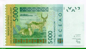 5000 FRANCS Masque & Cobe de Buffon