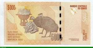 5000 FRANCS Masque Africain