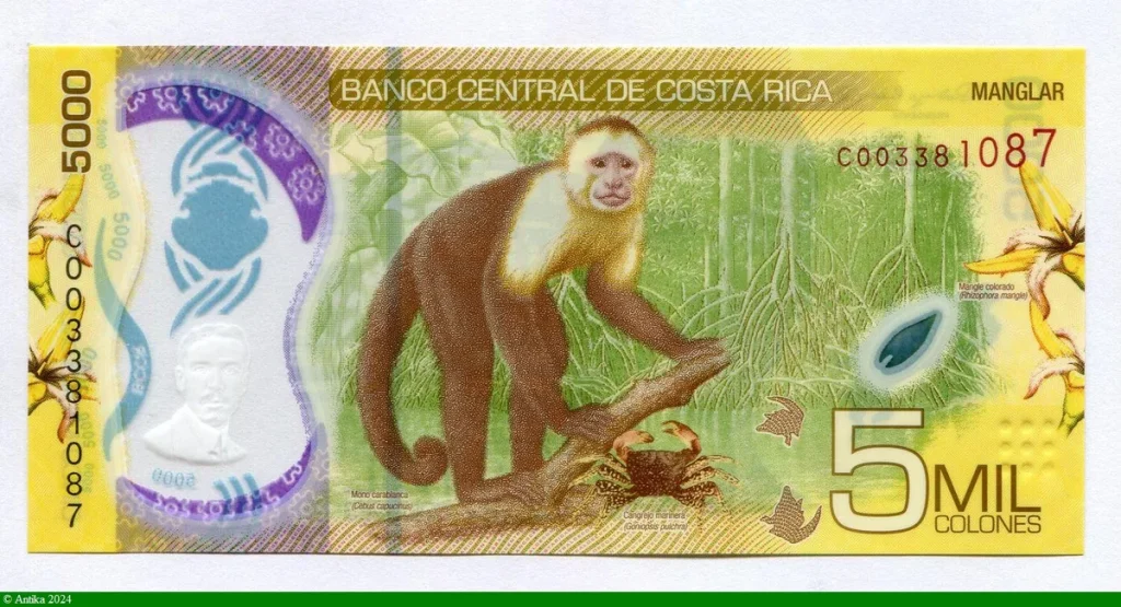5000 Colones Polymère Alfredo Gonzalez Flores & Singe
