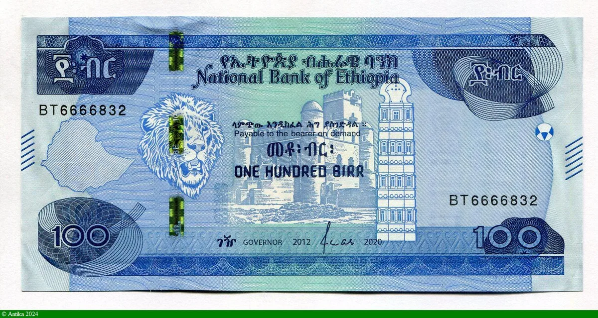 100 Birr Lion & Château de l' Empereur