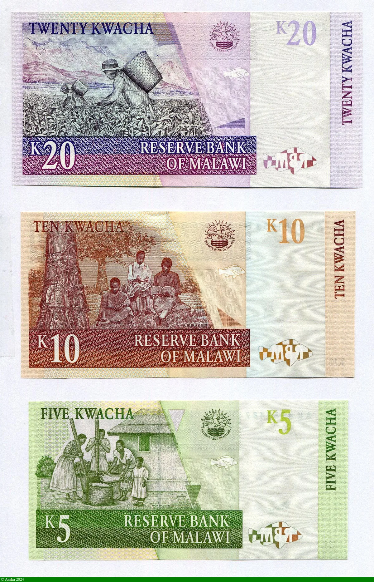 Lot de 3 Billets 5/10/& 20 Kwacha Psdt Hastings