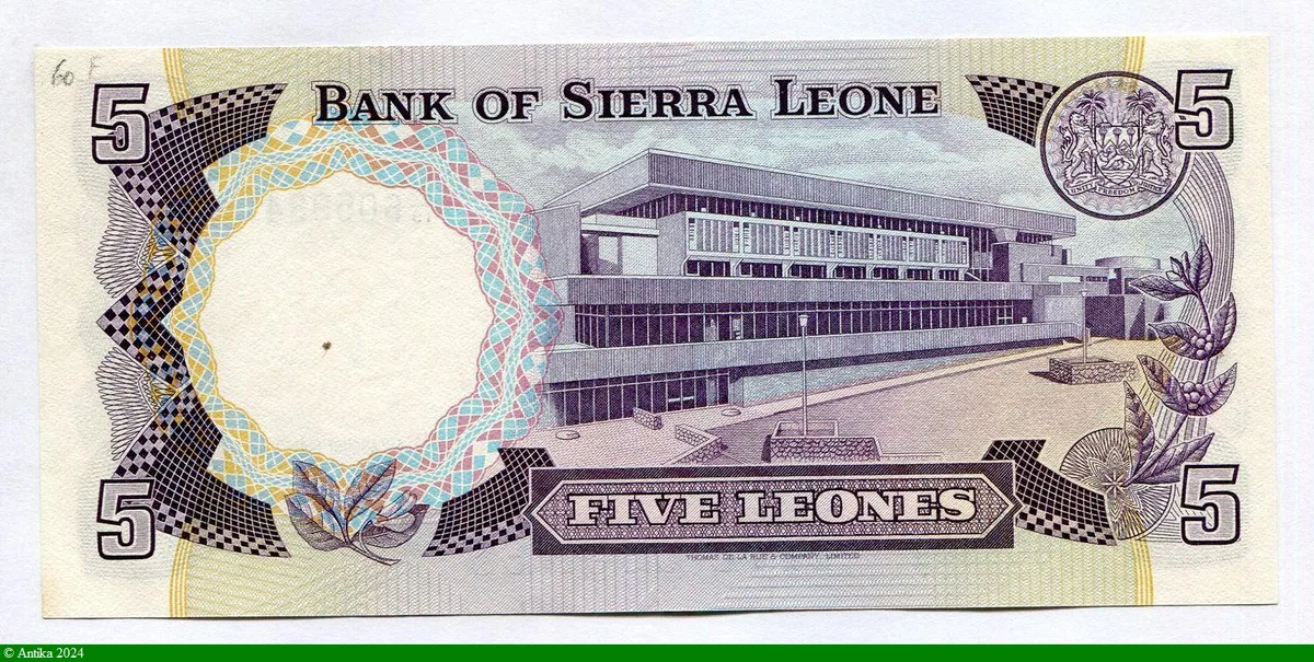 5 Leones S.Stevens