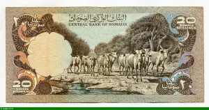 20 Shillings/20 Shilin Banque & Troupeau de Vaches
