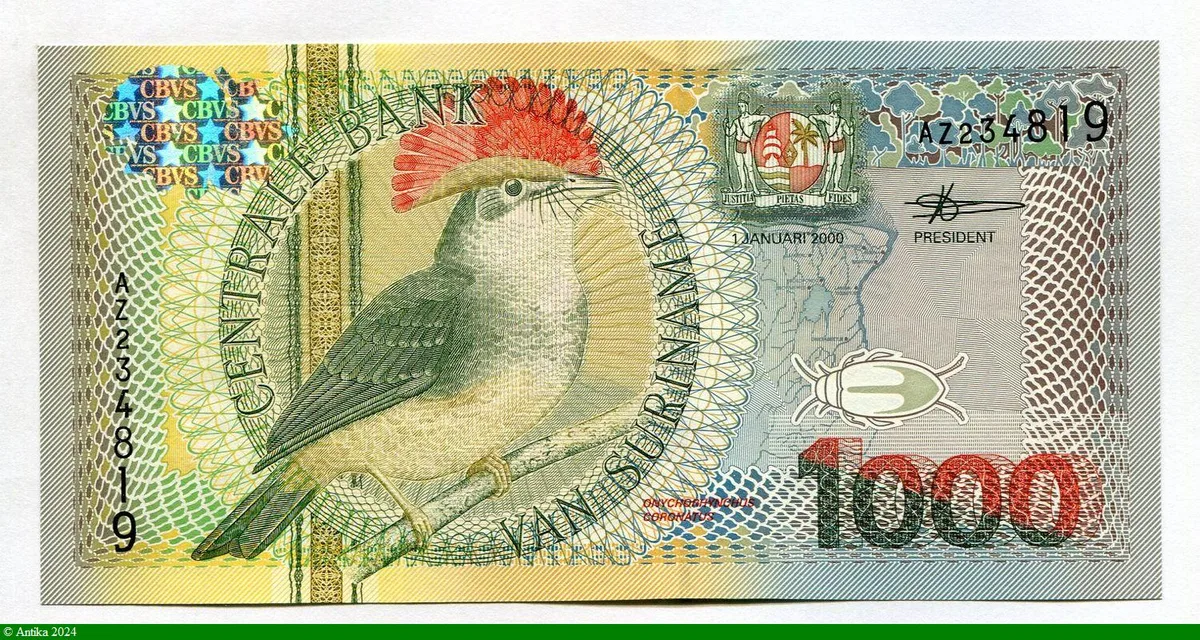 1000 Gulden Moucherolle Royal