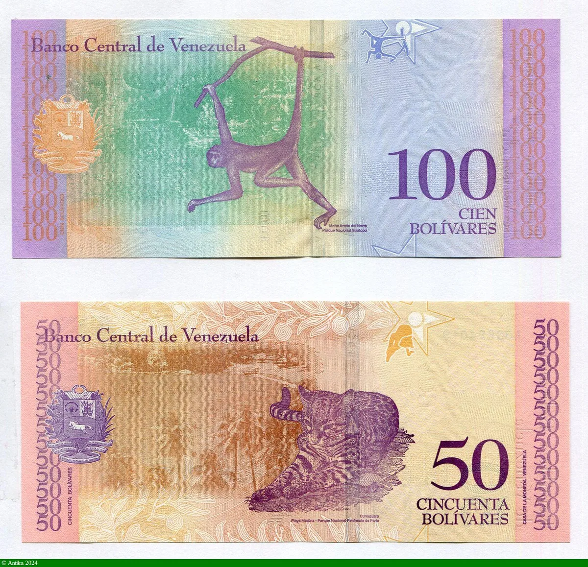 Lot de Billets 50 & 100 Bolivares