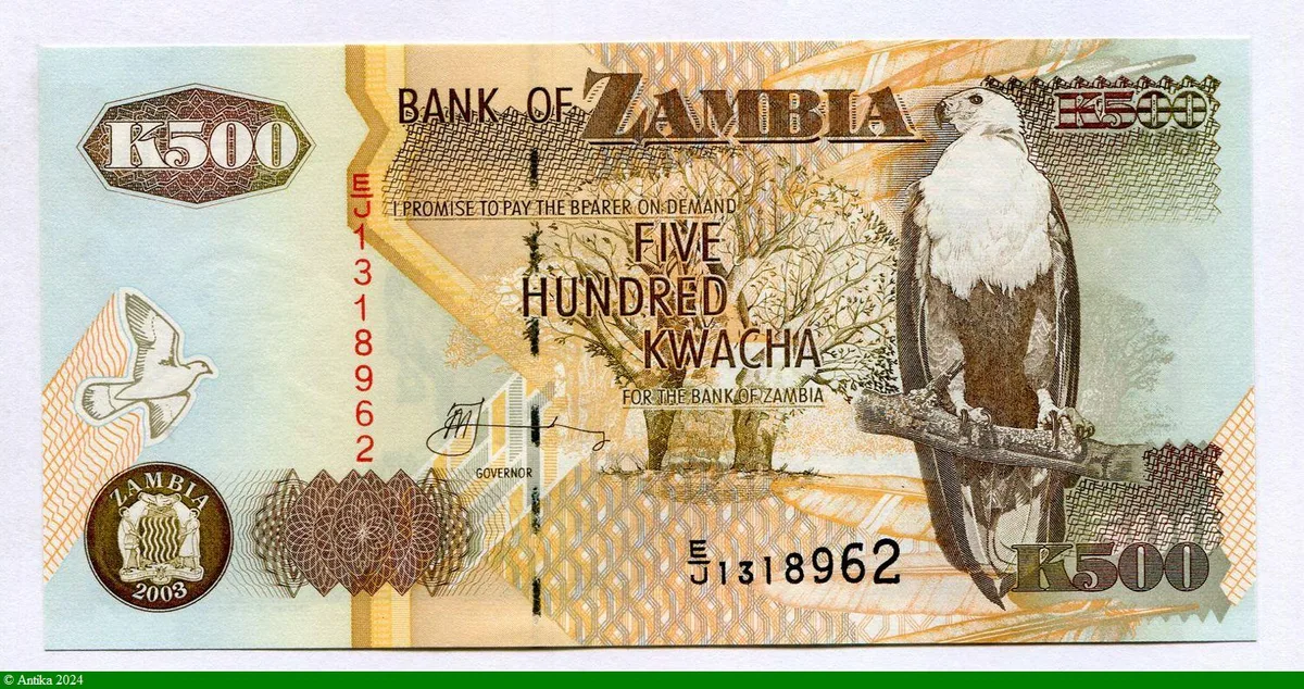 500 Kwacha Aigle pêcheur