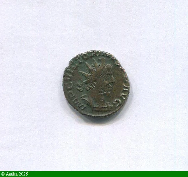 ANTONINIEN COLOGNE 269-270 R/ SALVS AVG
