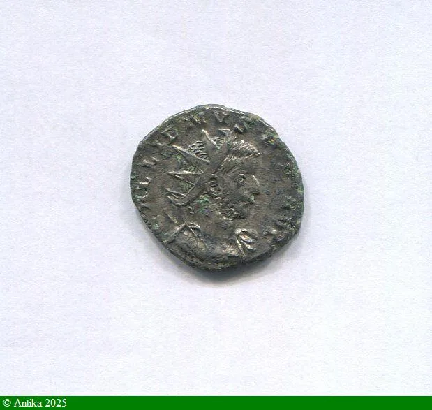 ANTONINIEN 257-258 R/ VICT GERMANICA