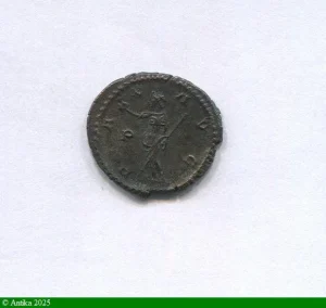 ANTONINIEN TREVES 268 R/PAX AVG