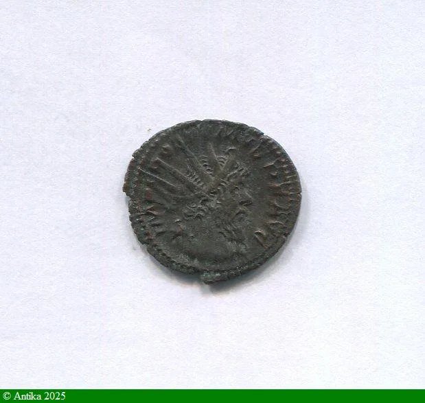 ANTONINIEN TREVES 268 R/PAX AVG